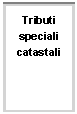 Casella di testo: Tributi speciali catastali