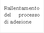 Rallentamento del processo di adesione