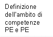 Definizione dellambito di competenze PE e PE