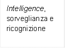Intelligence, sorveglianza e ricognizione