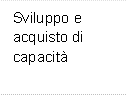 Sviluppo e acquisto di capacit 