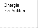 Sinergie civili/militari