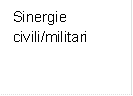 Sinergie civili/militari