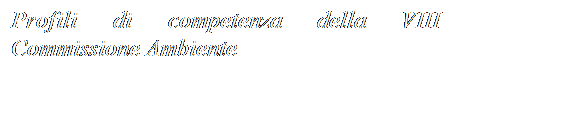 Casella di testo: Profili di competenza della VIII Commissione Ambiente