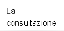 La consultazione