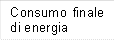 Consumo finale di energia