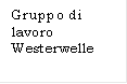 Gruppo di lavoro Westerwelle