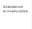 Animazione socioeducativa

