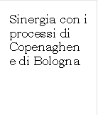 Sinergia con i processi di Copenaghen e di Bologna

