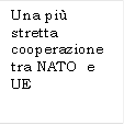 Una pi stretta cooperazione tra NATO  e UE