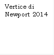 Vertice di Newport 2014