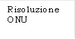 Risoluzione ONU