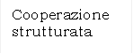 Cooperazione strutturata