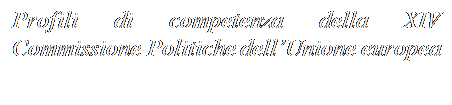 Casella di testo: Profili di competenza della XIV Commissione Politiche dellUnione europea