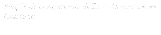 Profili di competenza della II Commissione Giustizia