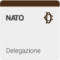 DELEGAZIONE PARLAMENTARE PRESSO L'ASSEMBLEA PARLAMENTARE DELLA NATO