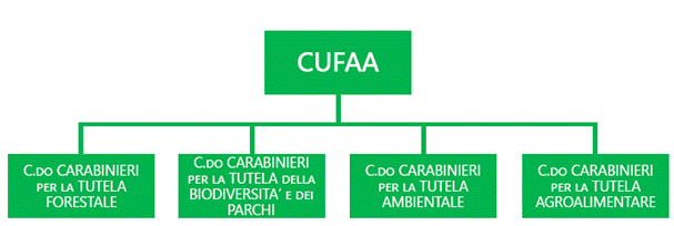 https://www.camera.it/temiap/leg18/25/CUFAA.PNG