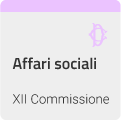 XII COMMISSIONE (AFFARI SOCIALI)