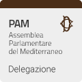 DELEGAZIONE ITALIANA PRESSO L'ASSEMBLEA PARLAMENTARE DEL MEDITERRANEO (PAM)