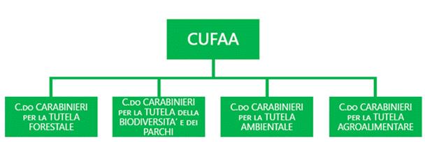 https://www.camera.it/temiap/leg18/25/CUFAA.PNG