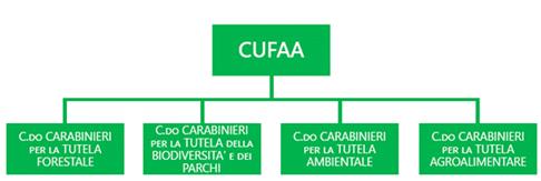 https://www.camera.it/temiap/leg18/25/CUFAA.PNG